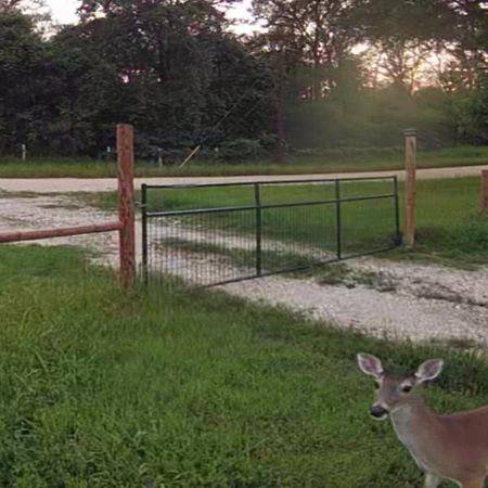 Private Cozy Hideaway With Deck Escape Austin 35Mi Βίλα Bastrop Εξωτερικό φωτογραφία