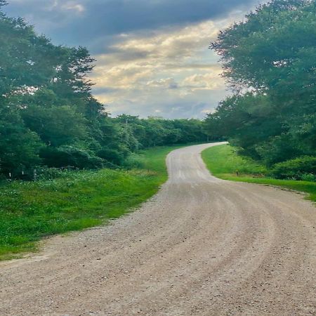 Private Cozy Hideaway With Deck Escape Austin 35Mi Βίλα Bastrop Εξωτερικό φωτογραφία